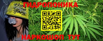 гидропоника Балахна