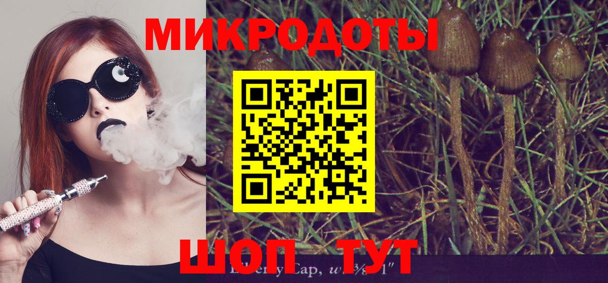 Галлюциногенные грибы MAGIC MUSHROOMS Елабуга