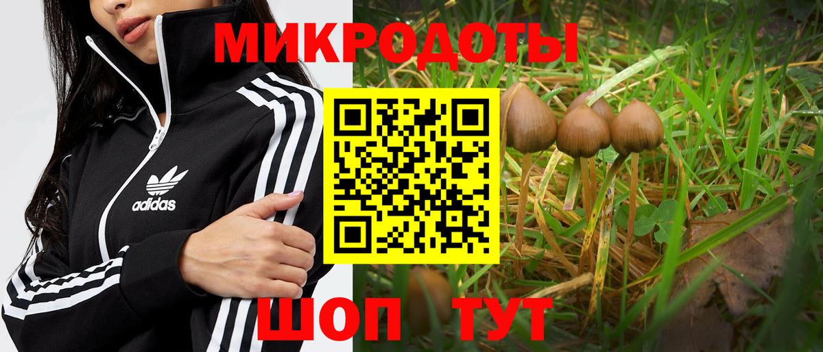 купить  сайты  Галлюциногенные грибы мицелий  Вход с VPN  Елабуга 