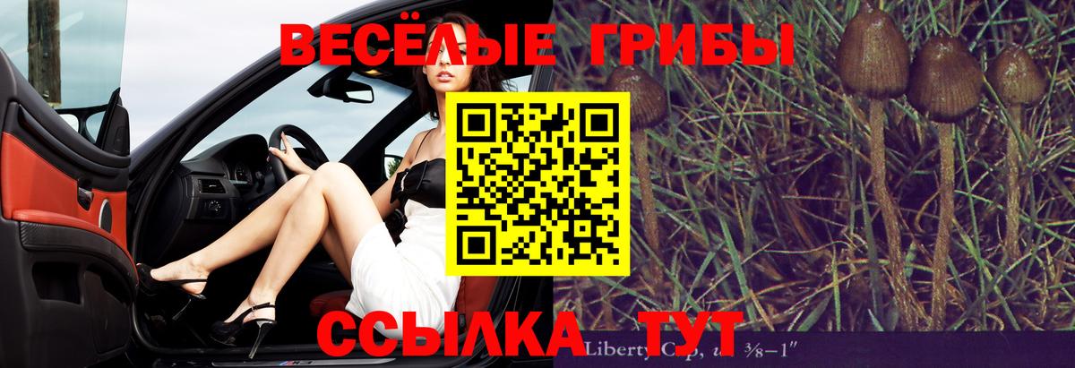 Псилоцибиновые грибы мицелий Елабуга