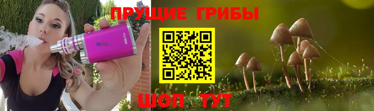 Галлюциногенные грибы Cubensis  Елабуга  цены наркотик  Галлюциногенные грибы мухоморы 