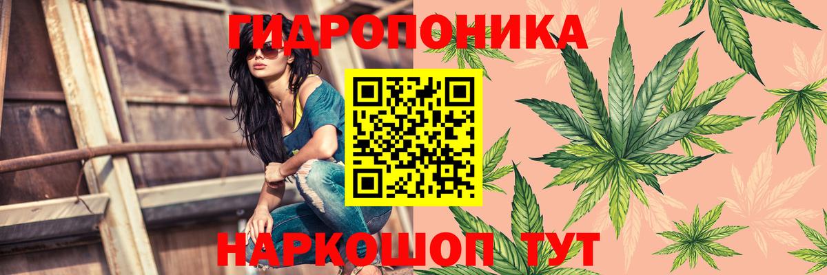 Бошки марихуана LSD WEED  Елабуга  Канабис Ganja  МАРИХУАНА план  МАРИХУАНА тримм 